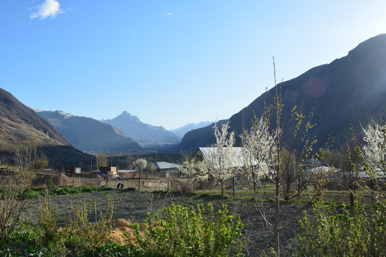 Ekaterine Guest House Kazbegi Eksteriør bilde